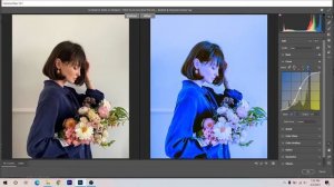 COLOR GRADING PRESET - NEUTRAL FILM - DNG & XMP ( NO PASS )