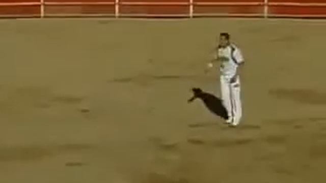 Matadory-akrobaty смотреть онлайн