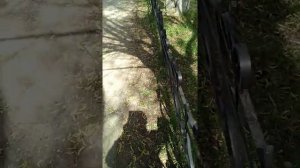 Город Чернушка Грязнушка Пермского края