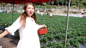 Как китайцы продают клубнику, а мы за это им ещё платим