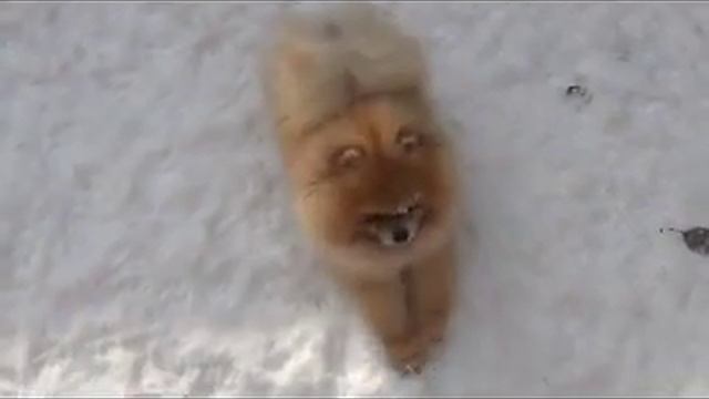 Крошка+Бисер.mp4 смотреть онлайн