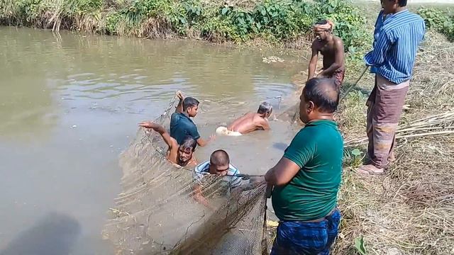 Best Village Fishing Video _ Village Fishing by Net смотреть онлайн