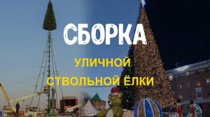 Сборка ствольной уличной елки