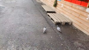 Наш отдых на БАЙКАЛЕ! Гранатовый пляж. #ЛЕТО2021