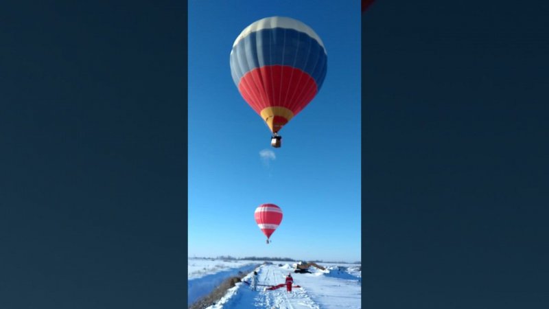 Яблоки на снегу 2017. Дмитров