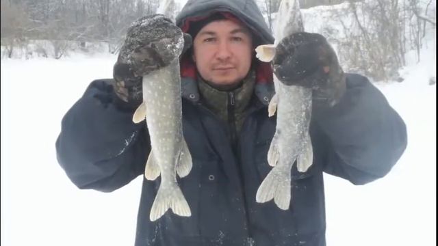 Поздравление с днём рождения другу рыбаку! смотреть онлайн