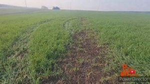 КАС-32, сколько вносим, какими распылителями, на какие культуры, в какие сроки