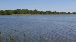 Рыбалка на карася 2023.05.03 г. Тамбов, Бокинский пруд.