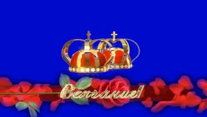 Венчание футажи свадебные SD