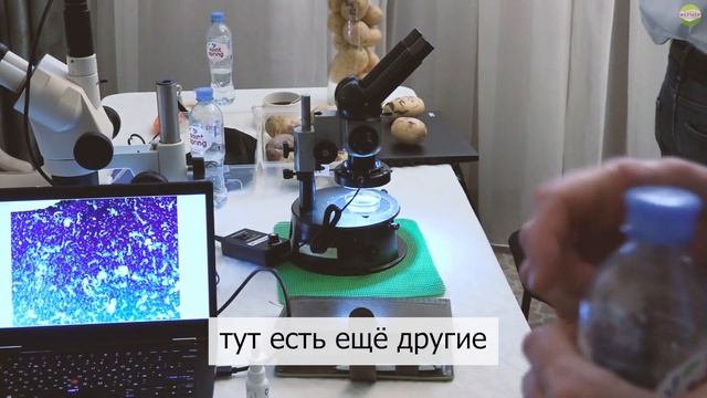 НЕМАТОДЫ - НОВАЯ УГРОЗА 2020?