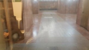 Метро Москва. Менделеевская - Петровско - Разумовская