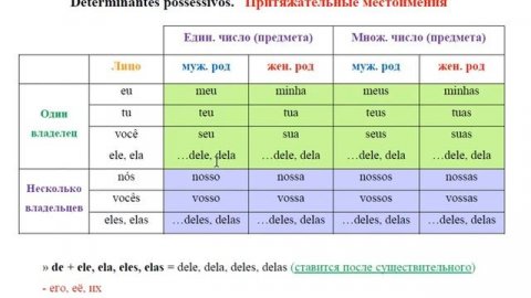Португальский урок 6: Притяжательные местоимения в португальском языке. Determinantes possessivos