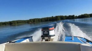 Yamaha 55AE -78 55hv