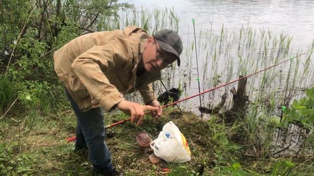 Рыбалка на карповых рыб. смотреть онлайн