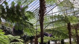 Longwood Gardens  | A Travel Story