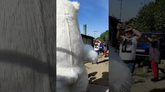 В этот день родили меня на свет мне сегодня 30 лет!!! Поздравление от белого медведя