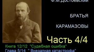 " Братья Карамазовы " - Часть 4/4 - Книга 12/12 - Глава 5/14