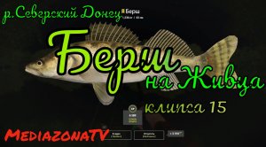 #рр4 р.Северский Донец  Берш на Живца  29.05