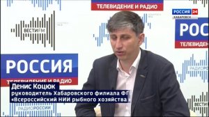 «Серебряные» прилавки: в торговых точках Хабаровска появилась горбуша свежего улова