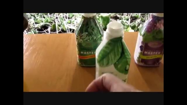 ПОДКОРМКА ДЛЯ ФИАЛОК. ЛУЧШИЙ СПОСОБ смотреть онлайн