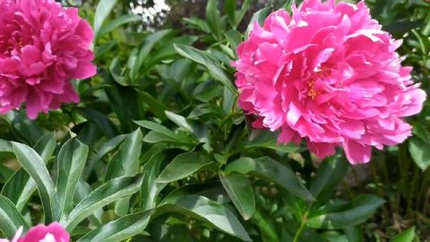 Не оглядывайся назад 1 - 4 серии | Мелодрама 2022