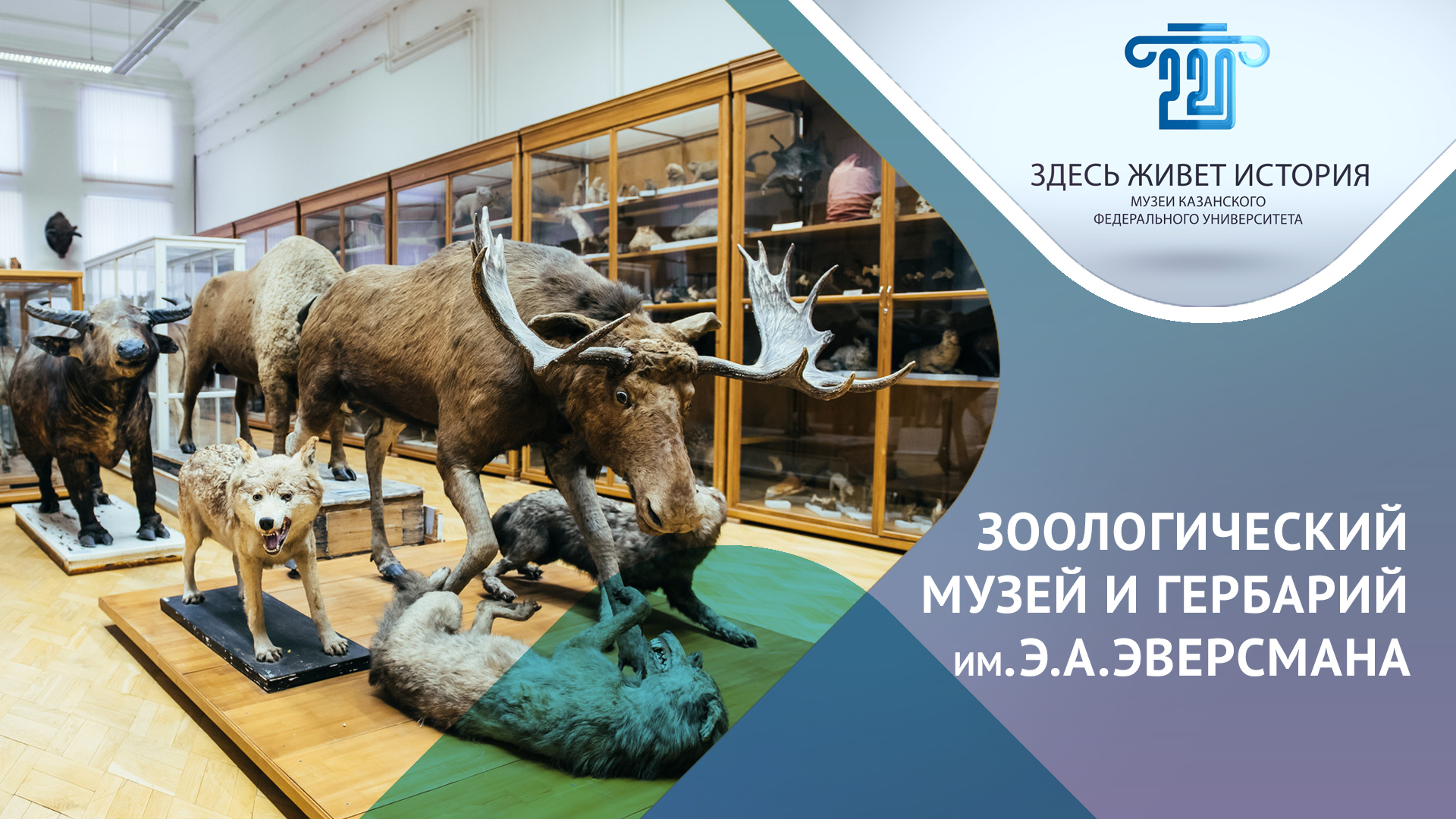 Зоологический музей Казанского федерального университета