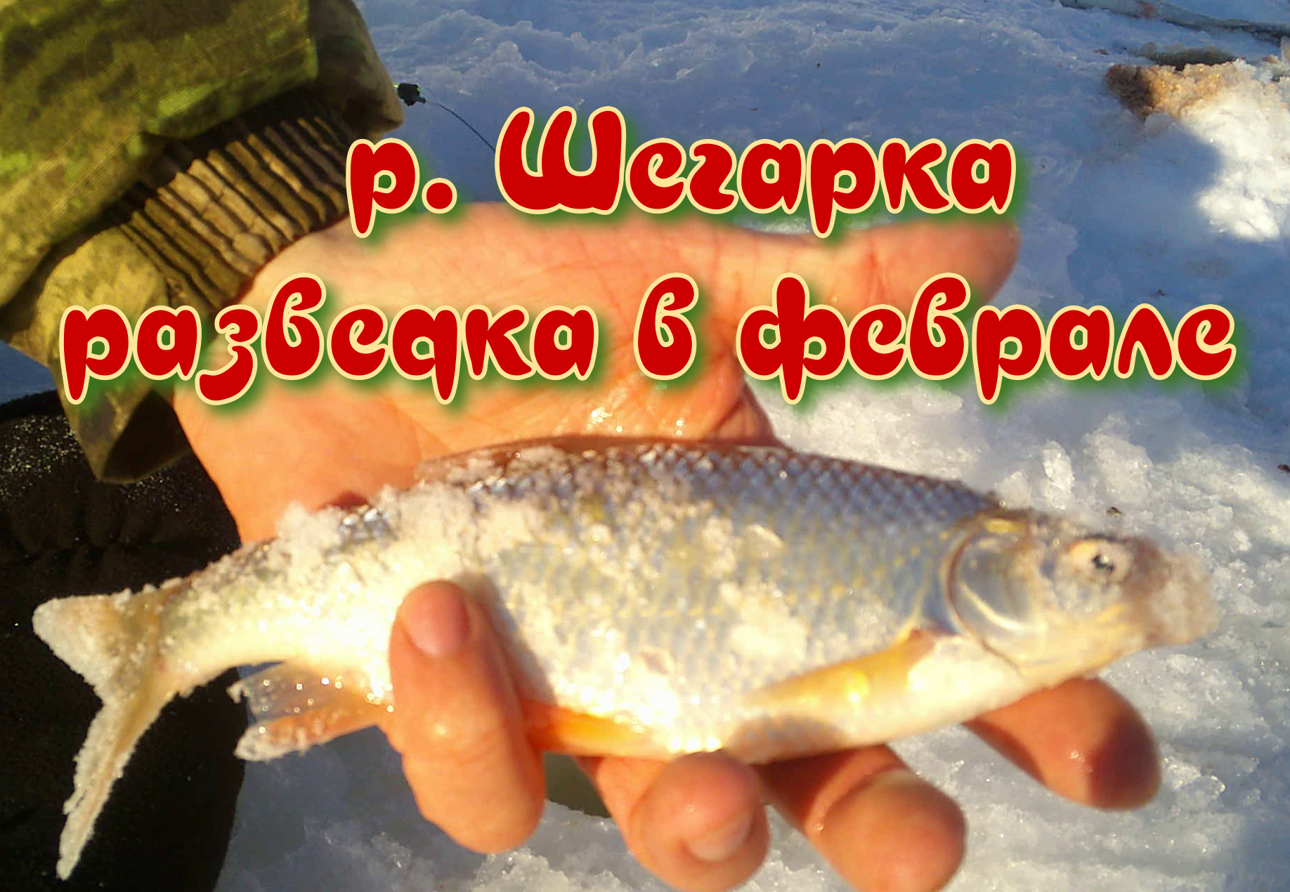 Рыбалка в феврале на р. Шегарка