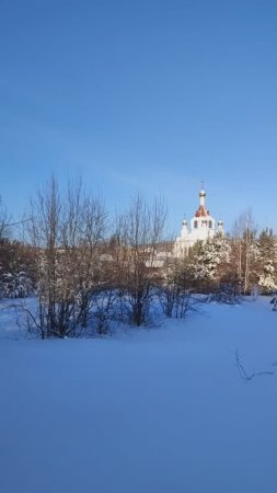 Утро после Рождества