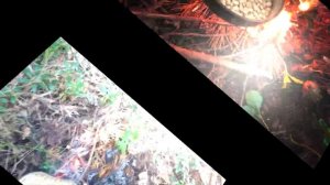 Таёжный десерт "Элитный микс".  Готовим на костре.