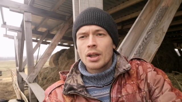 Содержание коров в загоне смотреть онлайн