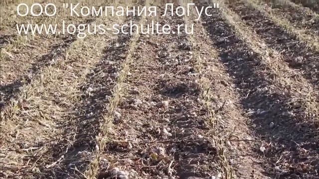 Мульчировщик Schulte 5026 - измельчение хлопчатника