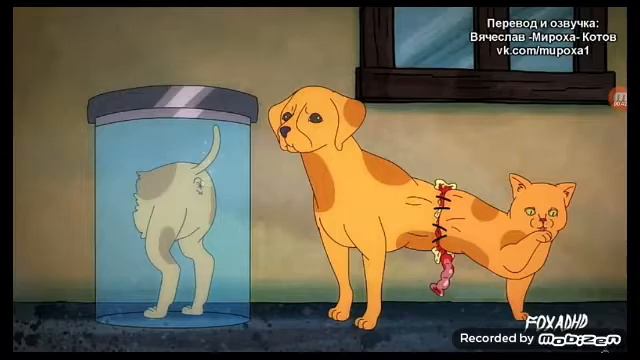 Котопес смотреть онлайн