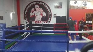 БОКС. Работа передней (левой)  рукой против боксера левши. Фрагменты работы в ринге.