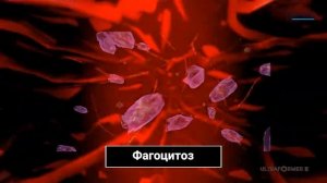 Как работает ULTRAFORMER III | Ультразвуковой лифтинг