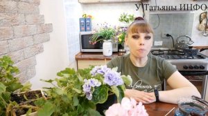 ЭТО СРЕДСТВО ЗАСТАВИТ ЦВЕТЫ РАСТИ на ГЛАЗАХ / ЗЕЛЕНКА для комнатных растений