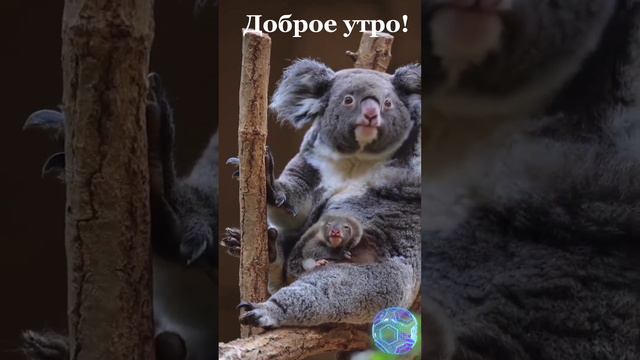 Доброе утро, друзья хорошие!🤗🤗🤗 19.03.23г. В ВОСКРЕСЕНЬЕ пусть будет тёплым и радостным!😁😁😁Мира вам