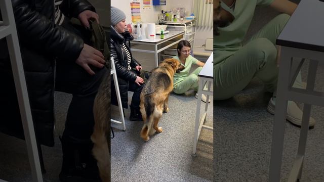 Домашнее задание смотреть онлайн