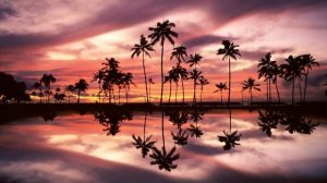 B-TRIBE Sensual Sensual full album