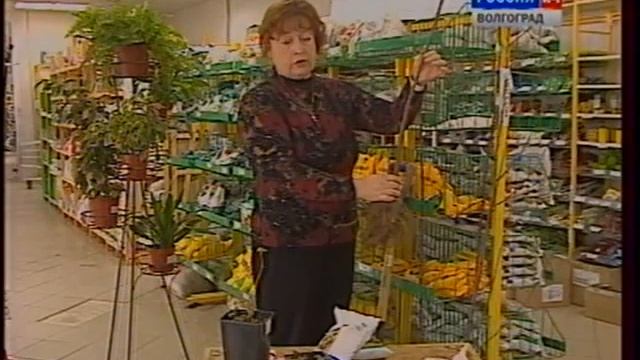 Весенняя посадка плодовых и ягодных растений. смотреть онлайн