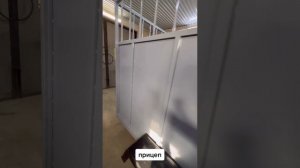 Прицеп Скотовоз