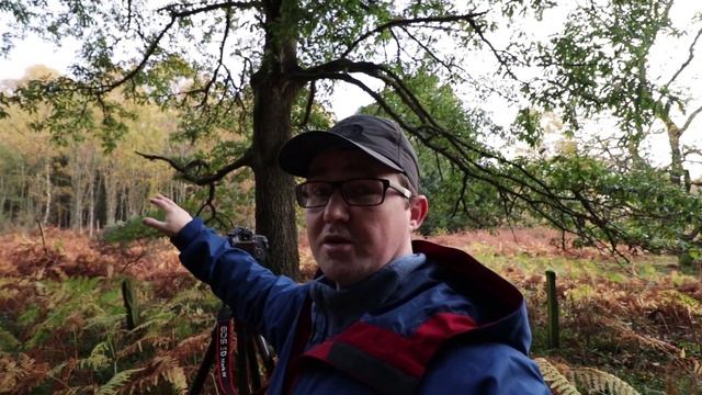 Why I Bought the Canon EF 70-200mm f/4L USM Lens - Testing and Review смотреть онлайн