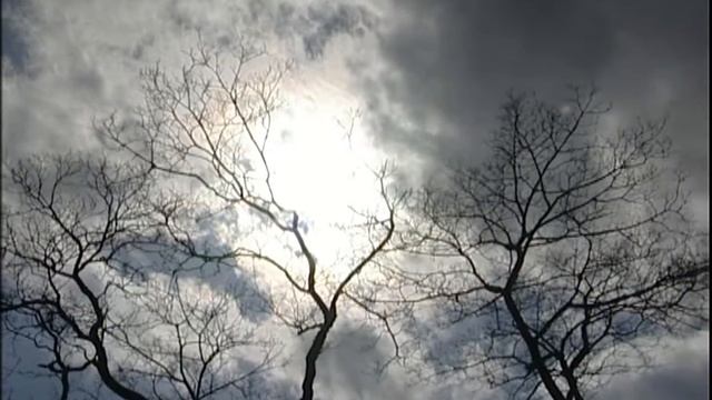 Bīskapa Boļeslava Sloskāna nāves 25. gadadiena | 2006 смотреть онлайн