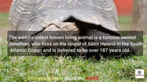 20 Amazing Facts about World |Facts About the World's| Unbelievable Facts You Don't Know About worl