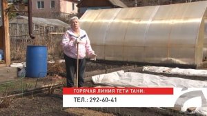 Голова садовая - Почему желтеет чеснок