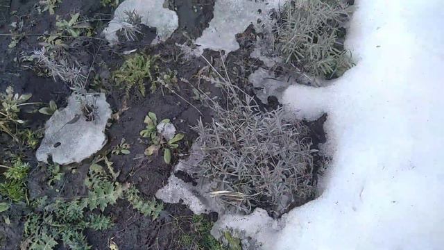 8 апреля 2022 г. смотреть онлайн