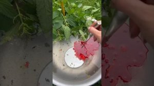 Чистка/отливка/снимаем погостного беса