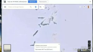 Антарктида. Новые исследования. Новые версии.