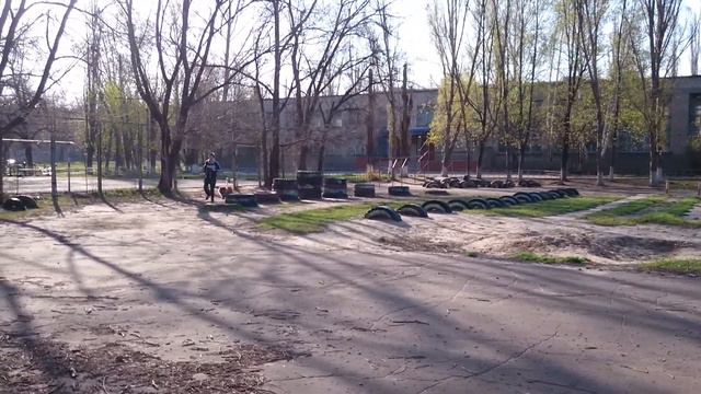 Чау-чау Персей (9 месяцев) на утренней пробежке. смотреть онлайн