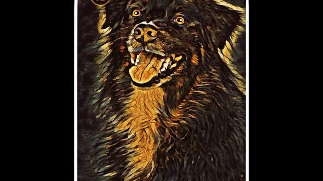 DREAMING Lenormand Deck - full flip through смотреть онлайн