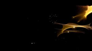 День города Стрежевой